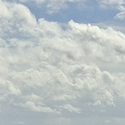 Bol d'air aux Îles de Chausey