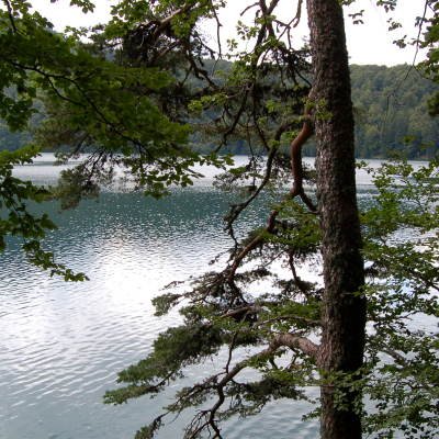Lacs d'Auvergne