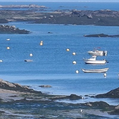 Bol d'air aux Îles de Chausey