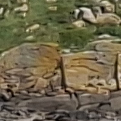 Bol d'air aux Îles de Chausey