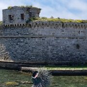 Gallipoli