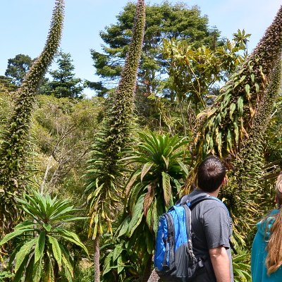 Golden Gate Park : jardin botanique