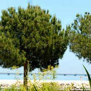 Parc des nations