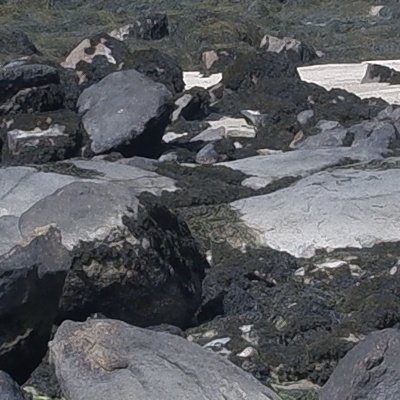 Bol d'air aux Îles de Chausey