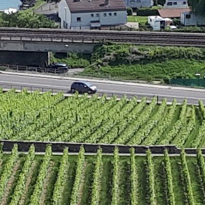 De Vevey à Lausanne en passant par les terrasses de Lavaux