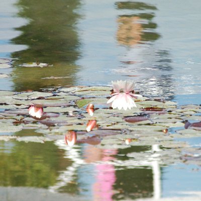 Reflets lisboètes