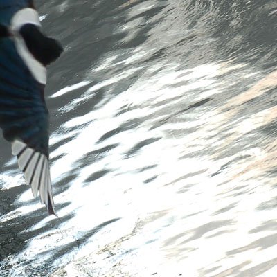 Bord de seine : jour et nuit 