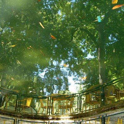 Reflets lisboètes