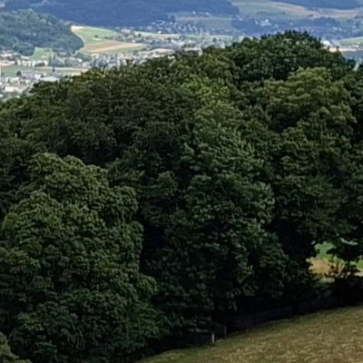 Retour à Berne et au musée Paul Klee