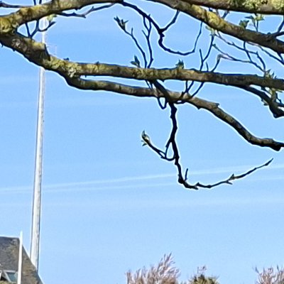 Convalescence à Granville