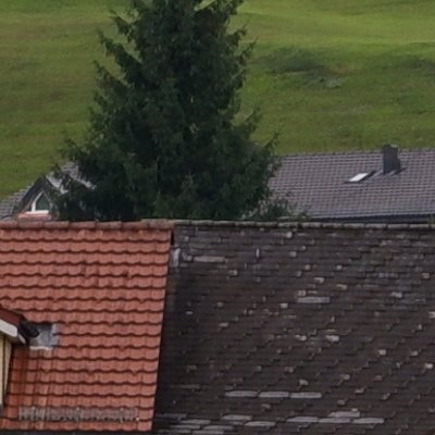 Retour à Urnäsch chez Lise