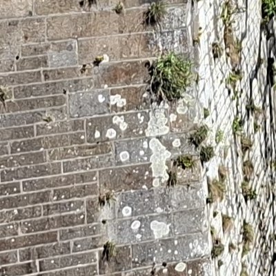 Convalescence à Granville