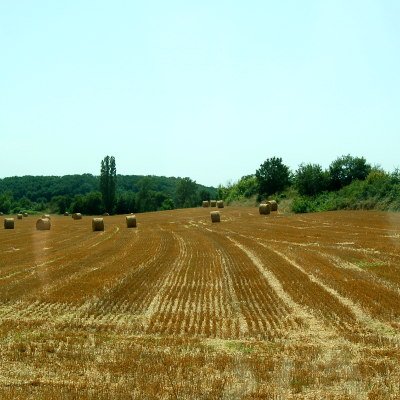 Le Gers à travers champs