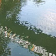 Le canal Saint-Martin avant le re-confinement