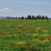 Sur la route des Pouilles