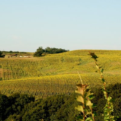 Le Gers à travers champs