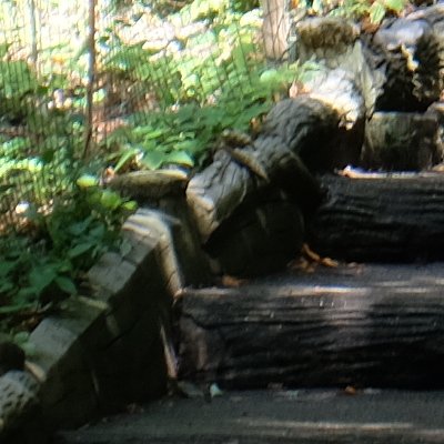 Des Buttes-Chaumont à Nation