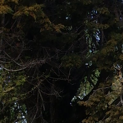 Bol d'air aux Îles de Chausey