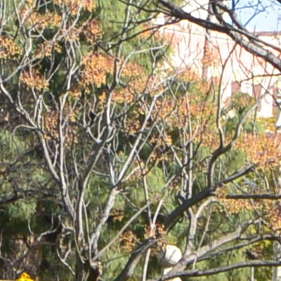 Panorama de Valence
