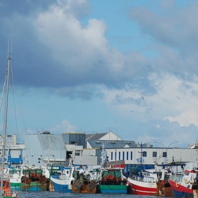 Matinée portuaire