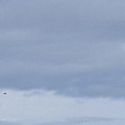 Bol d'air aux Îles de Chausey