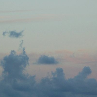 Nez au vent