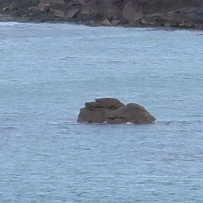 Bol d'air aux Îles de Chausey