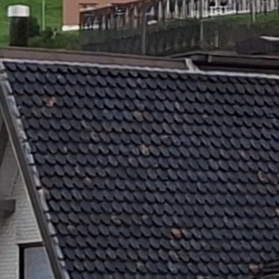 Retour à Urnäsch chez Lise