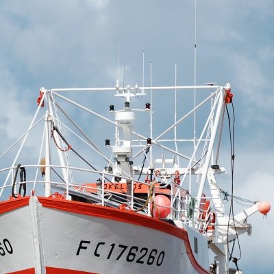 Matinée portuaire