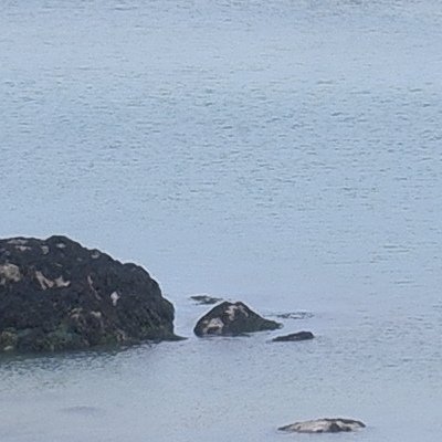 Bol d'air aux Îles de Chausey