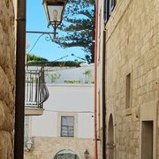 Trani