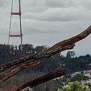 Dernier voyage à SF ?