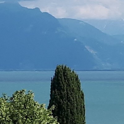 De Vevey à Lausanne en passant par les terrasses de Lavaux