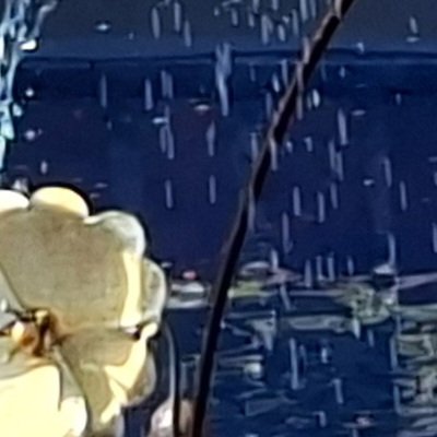 Convalescence à Granville