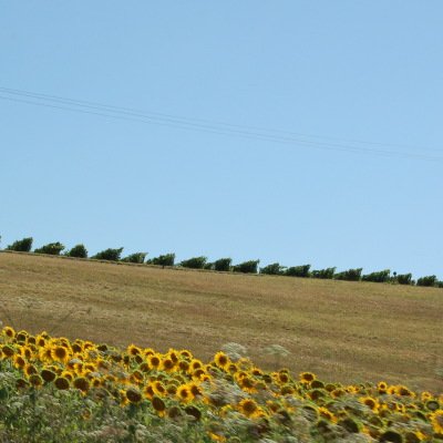 Le Gers à travers champs