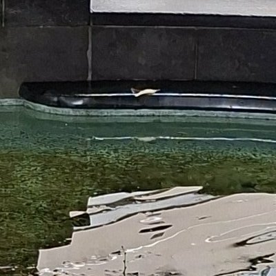 Saint-Gall, après le lac de Constance, et toujours sous la pluie