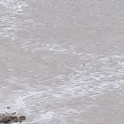 Convalescence à Granville