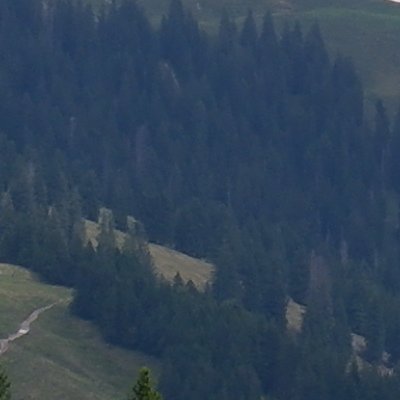 De Gontenbad à Jakobsbad : balade sous la pluie, bien sûr