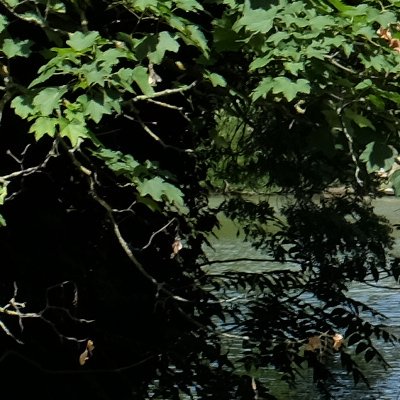 Des Buttes-Chaumont à Nation