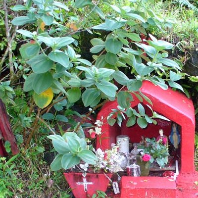 Saint-expedit et petits bons dieux