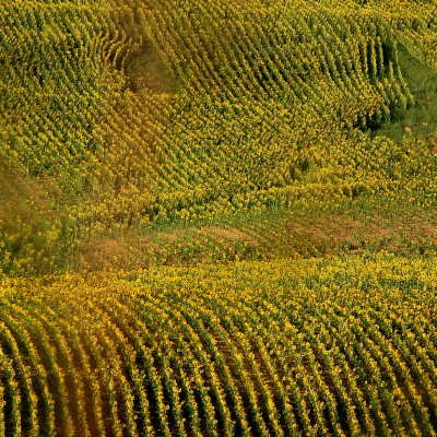 Le Gers à travers champs
