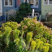 Dernier voyage à SF ?