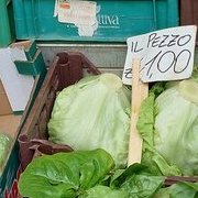 Noci