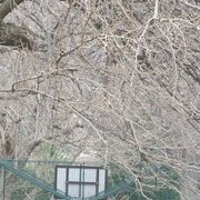 Jardin des plantes : orchidées et textures en hiver
