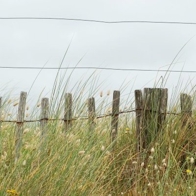 Nez au vent