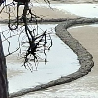 Convalescence à Granville