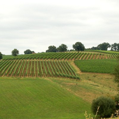 Le Gers à travers champs