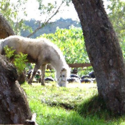 Animaux : effets indésirables