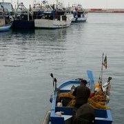 Monopoli