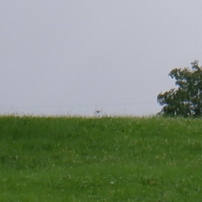De Gontenbad à Jakobsbad : balade sous la pluie, bien sûr